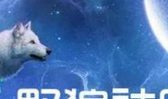 野狼社区视频,揭秘真实野性生活，探寻原始生存智慧