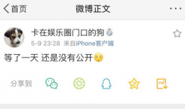 吃瓜最新爆料入口在线观看